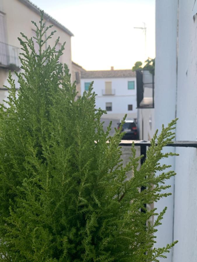 Vivienda Con Fines Turisticos La Barbacana Del Salvador * Úbeda